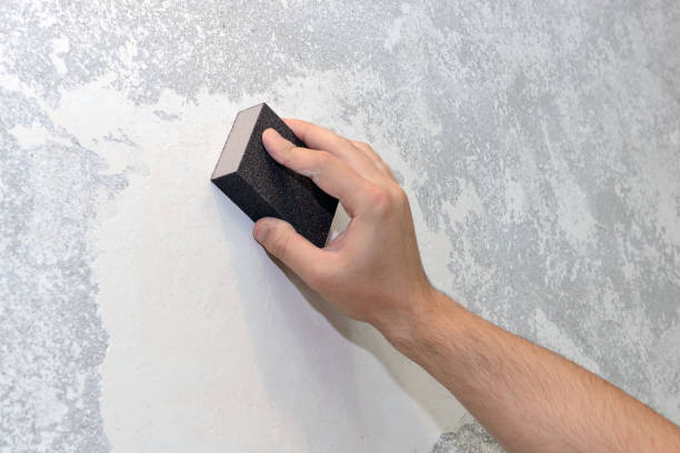 Best Industrial Mold Remediation  in Colonial Beach, VA