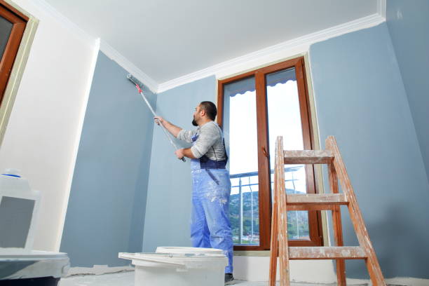 Best Mold Documentation for Insurance Claims  in Colonial Beach, VA