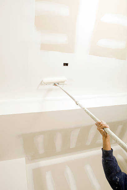 Best Mold Odor Removal Services  in Colonial Beach, VA